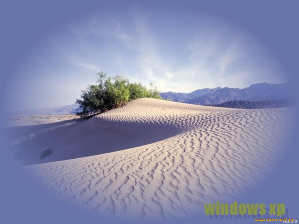 , windows, xp